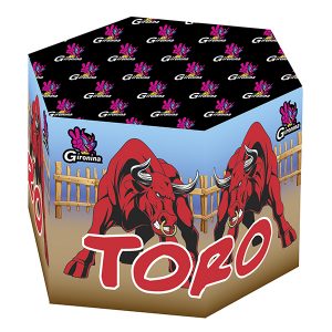 FUENTE TORO